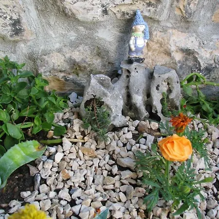 And Lemon Gostinjska kuća 3*