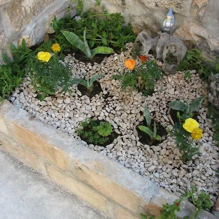 Gostinjska kuća And Lemon