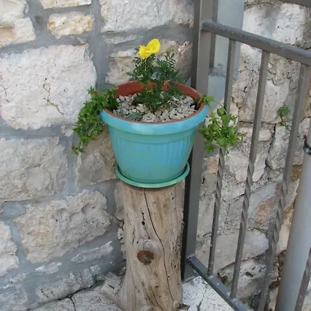 Gostinjska kuća And Lemon