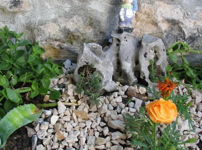 And Lemon Penzion 3*