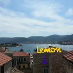 And Lemon Vis